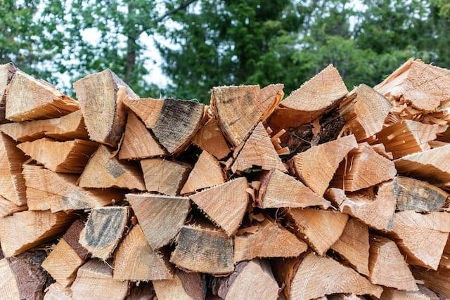 How Long Does Wood Take to Dry?