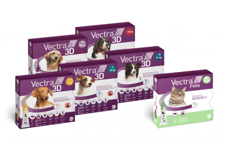 How Long Does Vectra 3D Take to Dry?